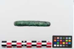 Foto von Bronzeperlarmeif (NHMW-PRAE-024284)